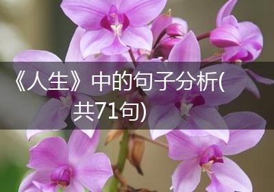《人生》中的句子分析(共71句)