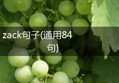 zack句子(通用84句)