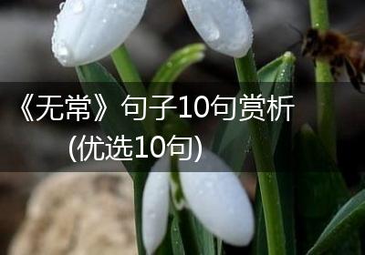 《无常》句子10句赏析(优选10句)