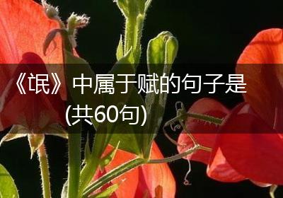 《氓》中属于赋的句子是(共60句)
