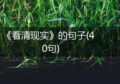 《看清现实》的句子(40句)