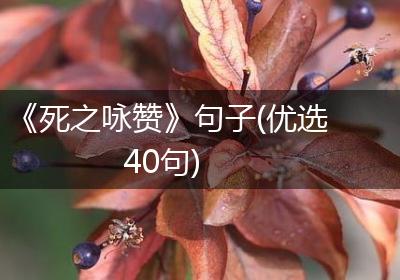 《死之咏赞》句子(优选40句)