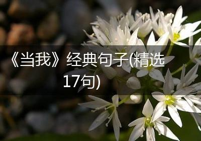 《当我》经典句子(精选17句)