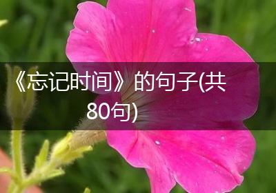 《忘记时间》的句子(共80句)