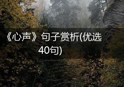 《心声》句子赏析(优选40句)