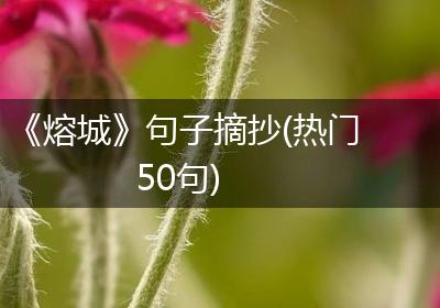 《熔城》句子摘抄(热门50句)