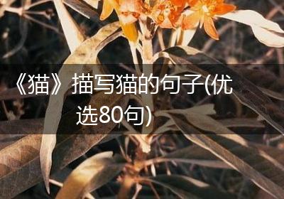 《猫》描写猫的句子(优选80句)