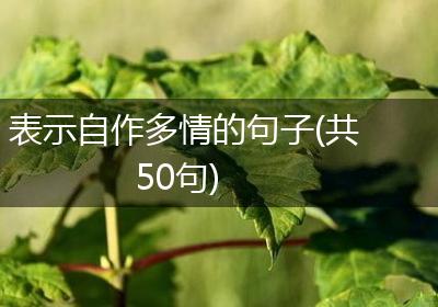 表示自作多情的句子(共50句)
