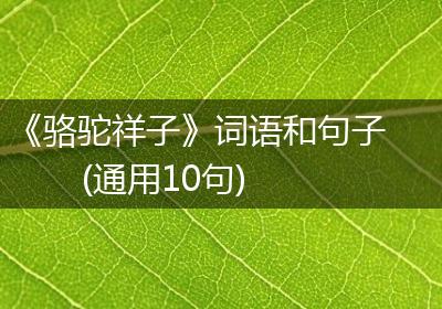 《骆驼祥子》词语和句子(通用10句)