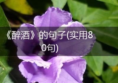《醉酒》的句子(实用80句)