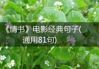 《情书》电影经典句子(通用81句)