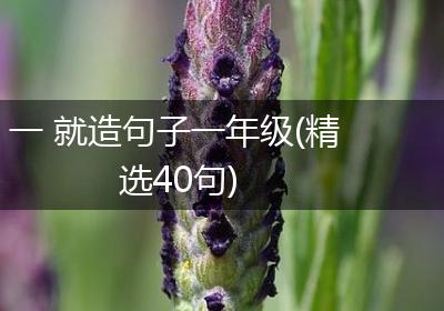 一 就造句子一年级(精选40句)