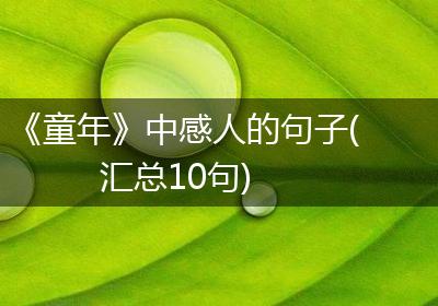 《童年》中感人的句子(汇总10句)