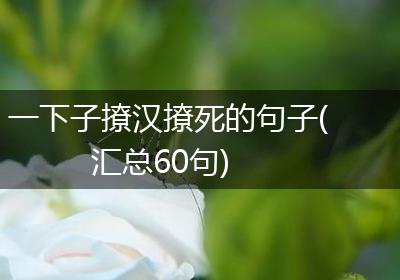一下子撩汉撩死的句子(汇总60句)
