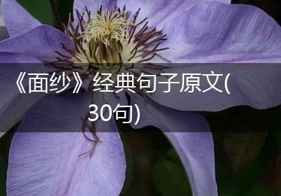 《面纱》经典句子原文(30句)