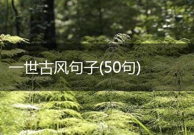 一世古风句子(50句)