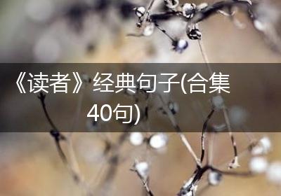 《读者》经典句子(合集40句)