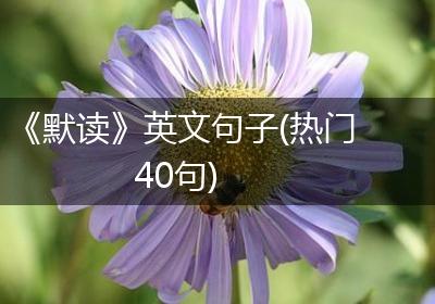 《默读》英文句子(热门40句)
