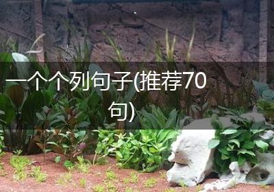 一个个列句子(推荐70句)
