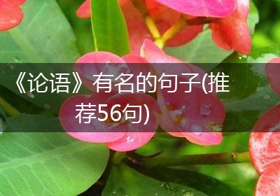 《论语》有名的句子(推荐56句)