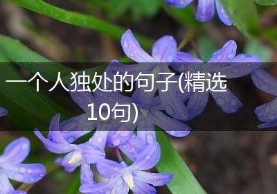 一个人独处的句子(精选10句)
