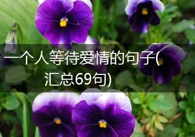 一个人等待爱情的句子(汇总69句)