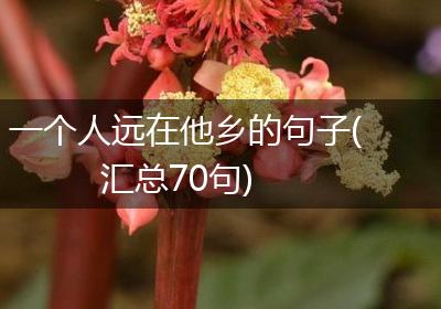 一个人远在他乡的句子(汇总70句)