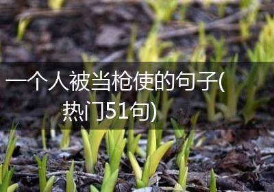 一个人被当枪使的句子(热门51句)