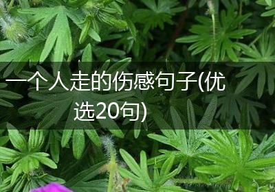 一个人走的伤感句子(优选20句)