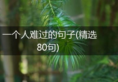 一个人难过的句子(精选80句)