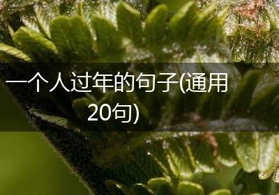 一个人过年的句子(通用20句)