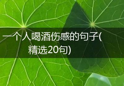 一个人喝酒伤感的句子(精选20句)
