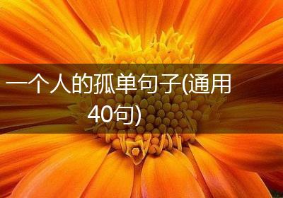 一个人的孤单句子(通用40句)