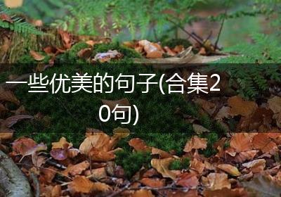 一些优美的句子(合集20句)