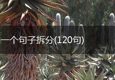 一个句子拆分(120句)