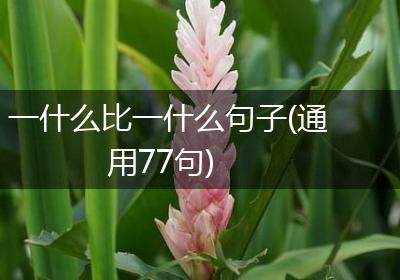 一什么比一什么句子(通用77句)