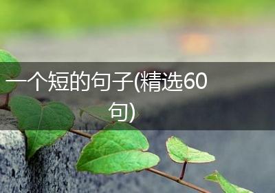 一个短的句子(精选60句)