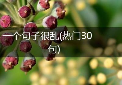 一个句子很乱(热门30句)