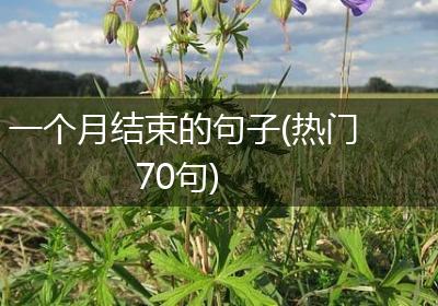 一个月结束的句子(热门70句)