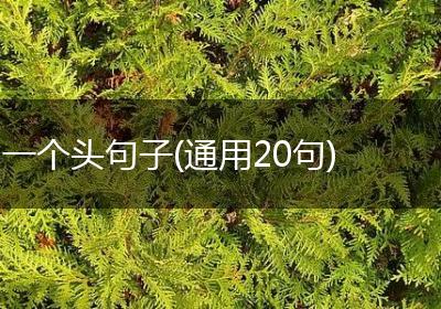 一个头句子(通用20句)