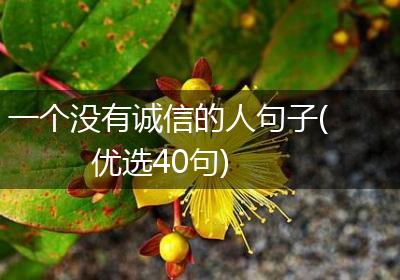 一个没有诚信的人句子(优选40句)