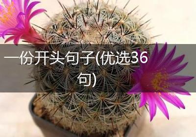 一份开头句子(优选36句)