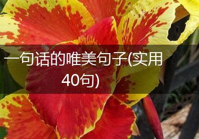一句话的唯美句子(实用40句)