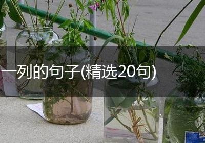 一列的句子(精选20句)