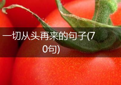 一切从头再来的句子(70句)