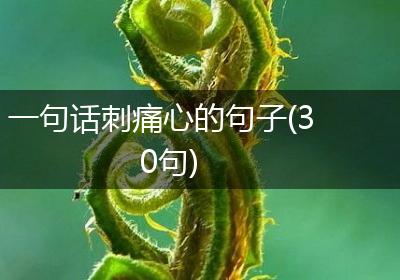 一句话刺痛心的句子(30句)
