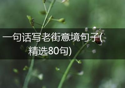 一句话写老街意境句子(精选80句)