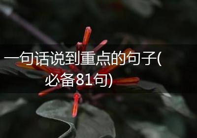 一句话说到重点的句子(必备81句)