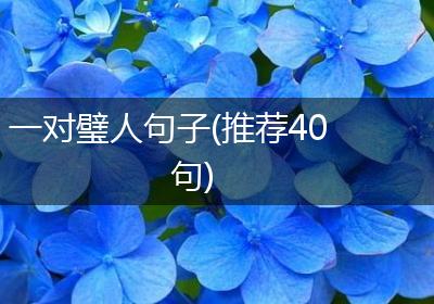 一对璧人句子(推荐40句)