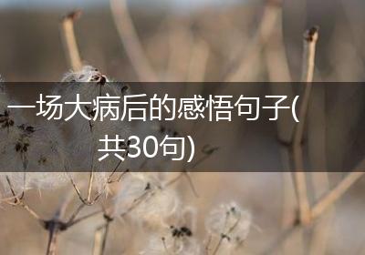 一场大病后的感悟句子(共30句)